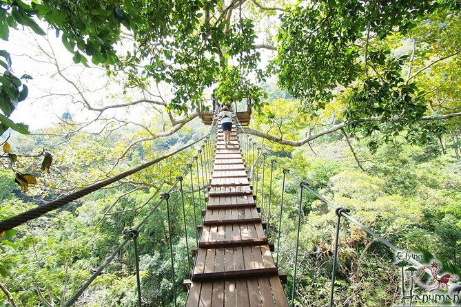 Hanuman World Phuket: Zipline & Canopy Thrills - Flying Hanuman through Phuket’s rainforest