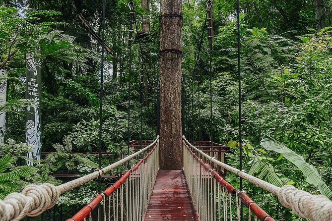 Hanuman World Zipline & Skywalk Phuket - Pickup, meeting point, and the four-hour timing