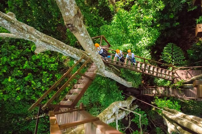 Hanuman Ziplines Adventure Tours - Safety equipment and staff support