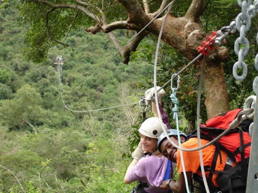 Hazyview: 2.5-Hour Sabie River Zip Line Experience - The 1.2-kilometer route through the forest