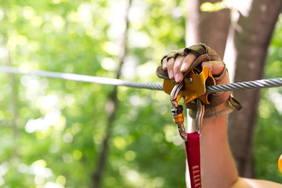 Henderson, Minnesota: 14-Line Zipline Canopy Tour - What the $99 price covers