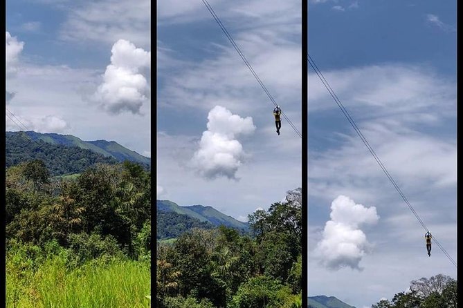 High Ropes Course in Madikeri - Key points to know before you book