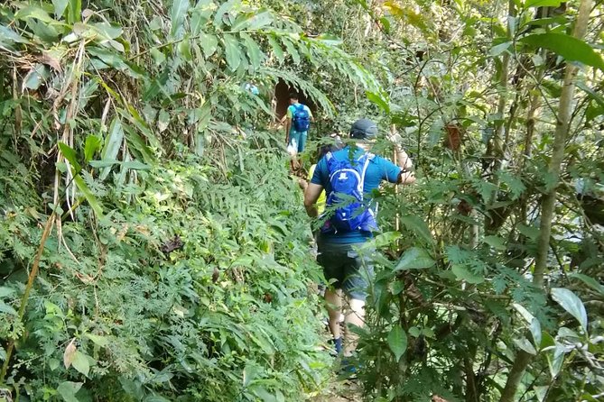 Hiking and Zipline Private Tour from Chiang Mai +Karen Village - Hiking and ziplining through Chiang Mai’s jungle