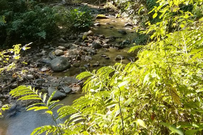 Hiking and Zipline Private Tour from Chiang Mai +Karen Village - Lunch and the value of a private day