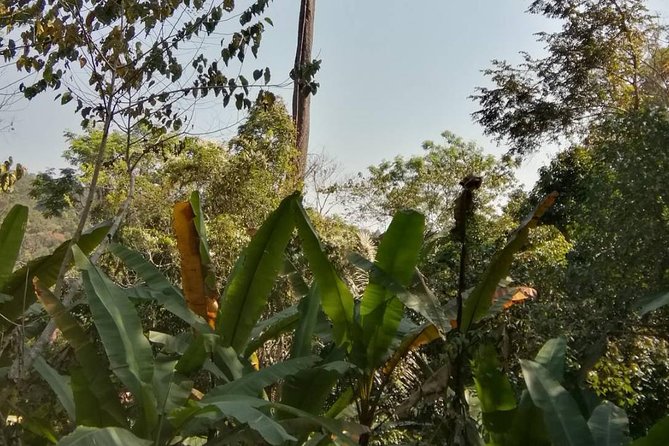 Hiking and Zipline Private Tour from Chiang Mai +Karen Village - The practical details that matter