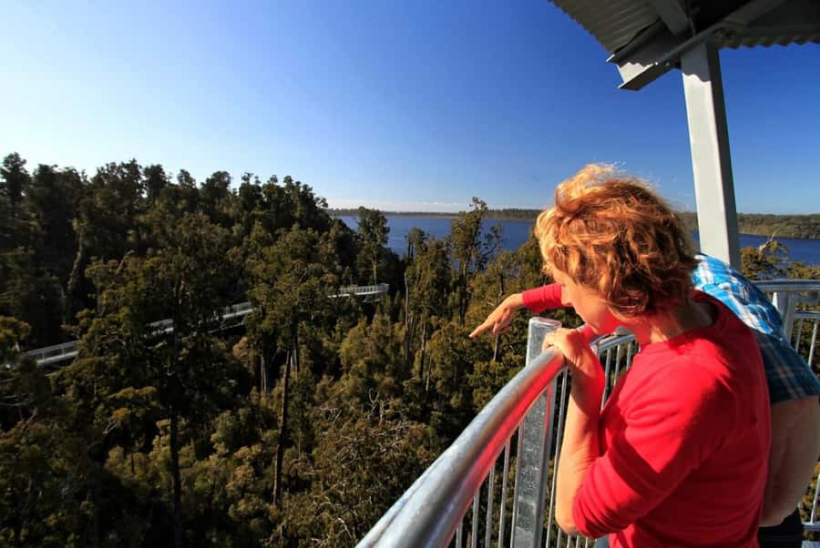 Hokitika: West Coast Tree Top Tower Zip Line and Walk - What You Are Really Paying For