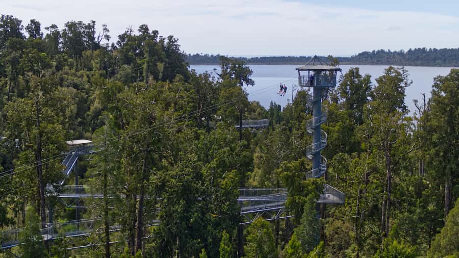 Hokitika: West Coast Tree Top Tower Zip Line and Walk - Starting at the West Coast Tree Top Visitor Center