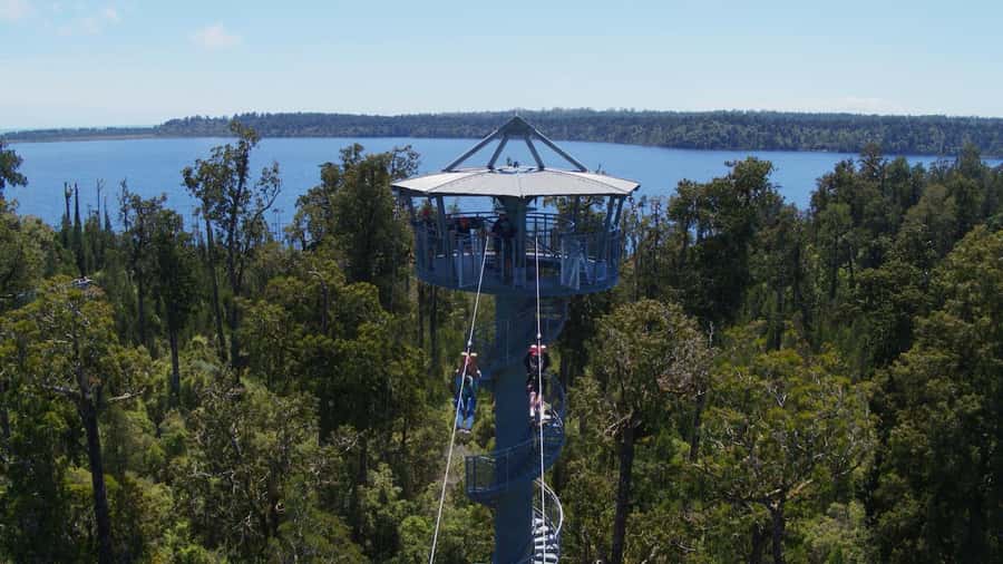 Hokitika: West Coast Tree Top Tower Zip Line and Walk - Climbing the 106-Step Spiral Tower