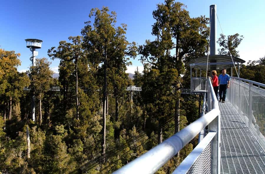 Hokitika: West Coast Tree Top Tower Zip Line and Walk - What the Forest Setting Adds