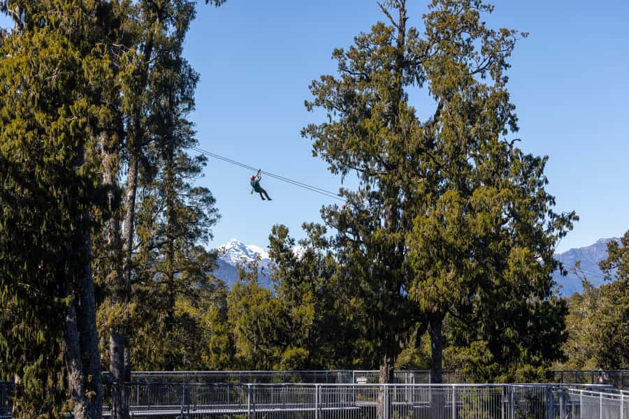 Hokitika: West Coast Treetop Walkway Entrance Ticket - What the $23 ticket gets you