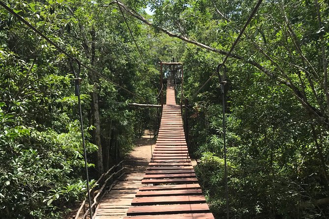 Horseback riding and ATV in the jungle, Ziplines, Cenote & Lunch - Horseback riding is a calm change of pace