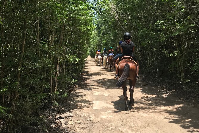Horseback Riding plus ATV, Cenote, Ziplines, and Lunch - What the $60.75 price really buys