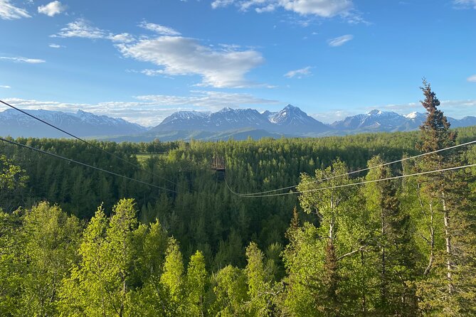 Horseback & Zipline Adventure in Alaska Mountains includes Lunch - Six tandem lines across Wolverine Canyon