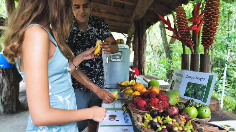 Huatulco: Nature Park with Fruit Tasting & Optional Zipline - Key points to know before booking
