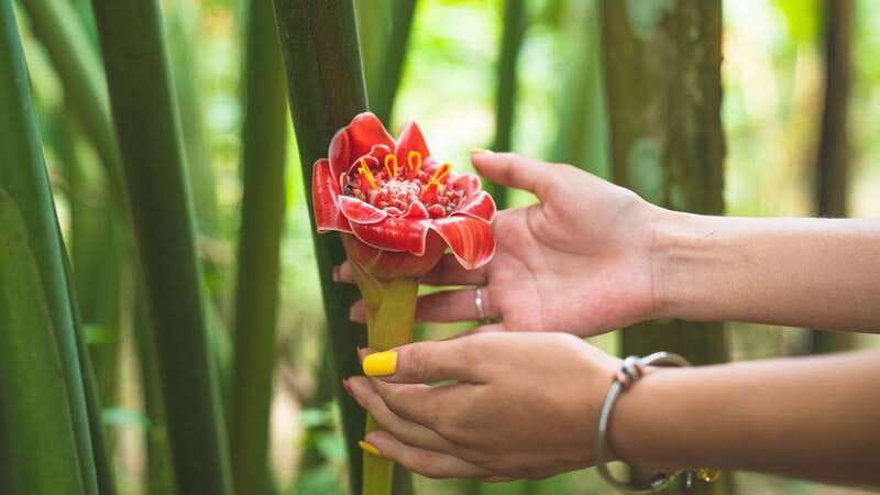 Huatulco: Nature Park with Fruit Tasting & Optional Zipline - Fruit waters and local produce set the tone