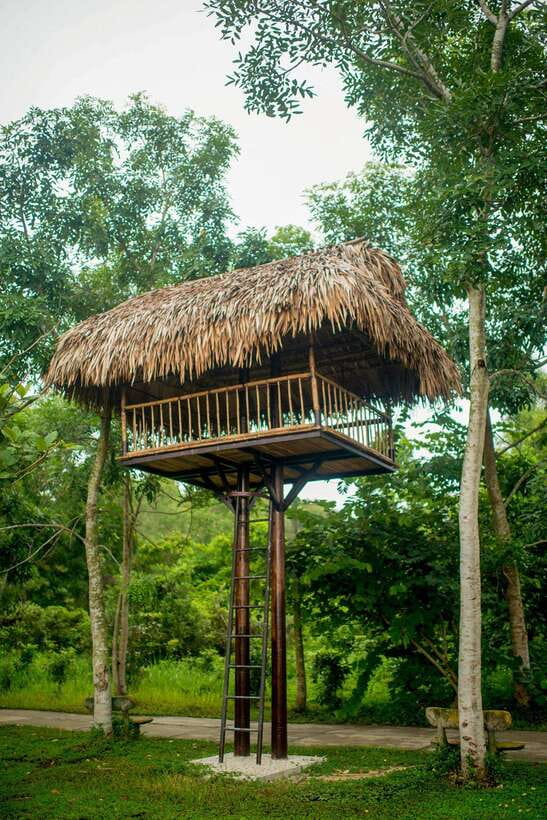 Hue: Full-day Nature’s Bliss From Hot Springs To Zip Line - How the guide and driver affect the day