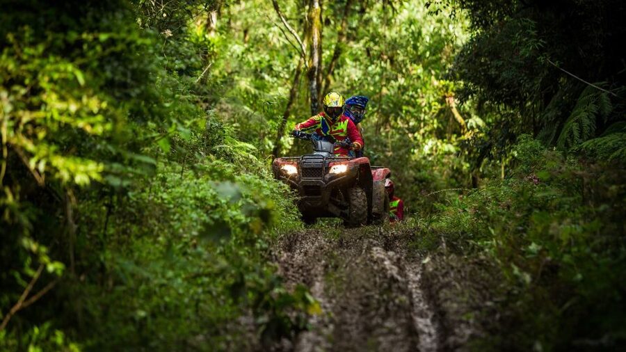 Istanbul: Belgrad Forest ATV Tour with Ziplining Option - The 40-minute forest route