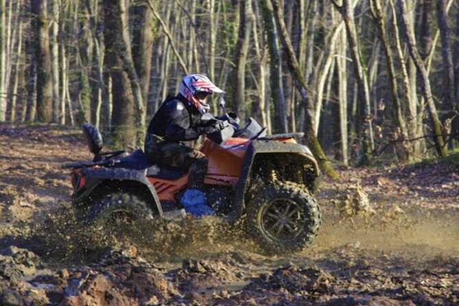 Istanbul Quad Bike Safari with Optional Zipline Experience - Who will enjoy this forest ride most