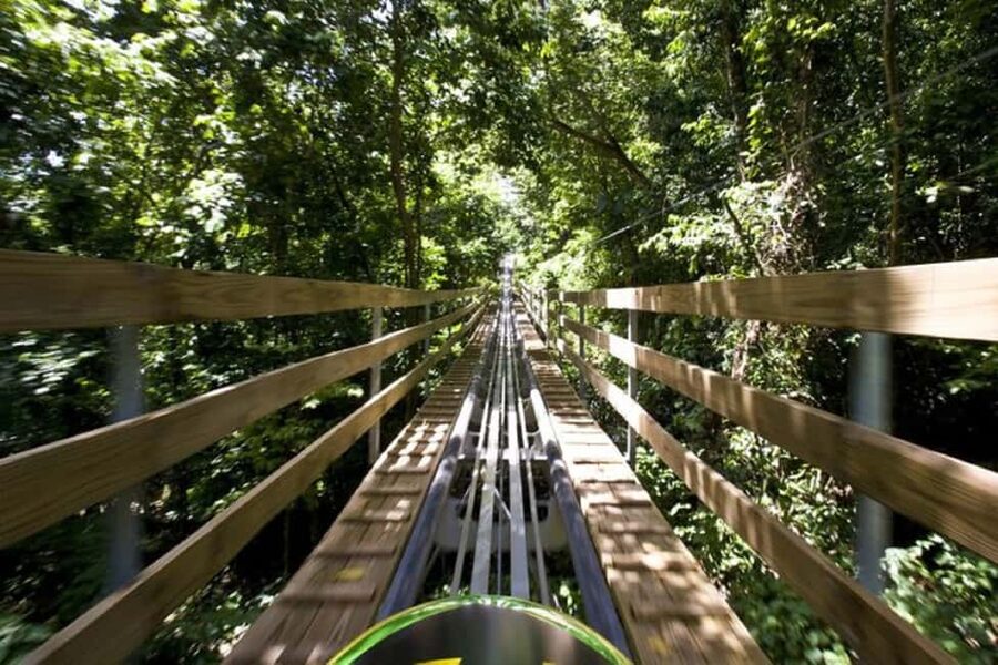 Jamaica Bobsled and Zip Line Adventure Tour - Key points to know before you book