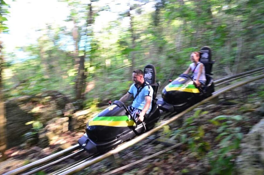 Jamaica Bobsled and Zip Line Adventure Tour - The 1,000-meter bobsled ride