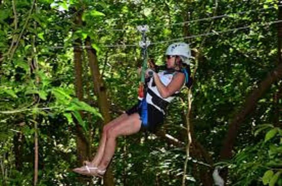 Jamaica Bobsled and Zip Line Adventure Tour - Riding Sky Explorer above the treetops