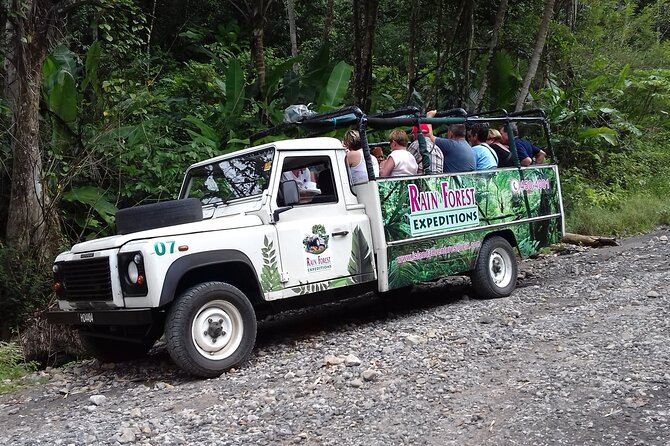 Jeep & Zipline Adventure in St. Lucia - The waterfall walk and natural pool