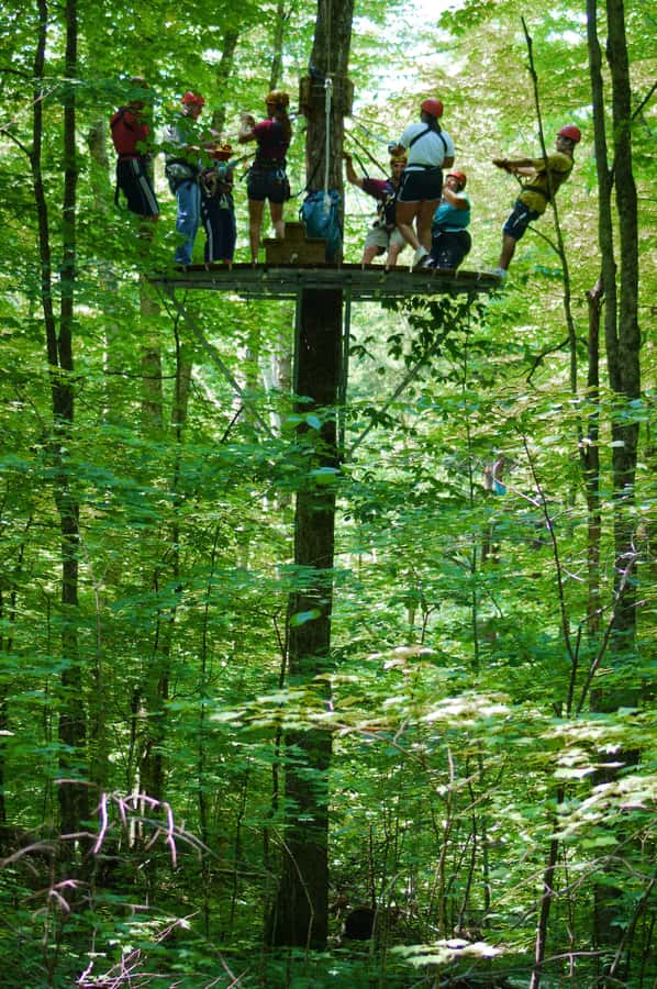 Jeffersonville, VT: ArborTrek Zipline Canopy Tour - Physical demands are real, not fine print
