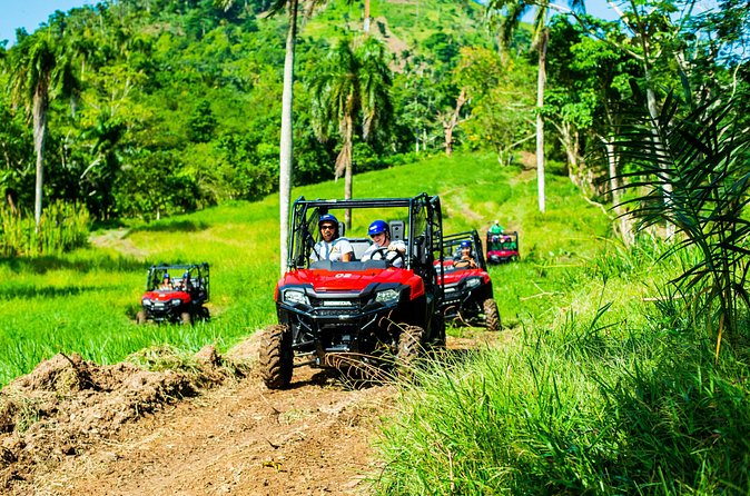 Jungle Buggies + Ziplines Adventures - Price and value for your day
