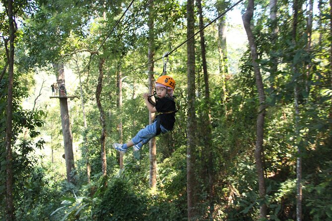 Jungle Flight Zipline Adventure From Chiang Mai - The canopy course, platform by platform