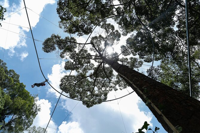 Jungle Flight Zipline Adventure From Chiang Mai - The Sky Walk adds a slower rainforest moment