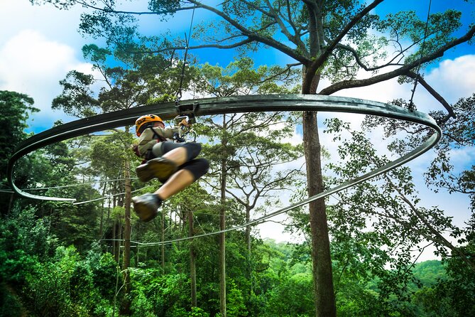 Jungle Flight Zipline Roller Coaster - Key points to know before booking