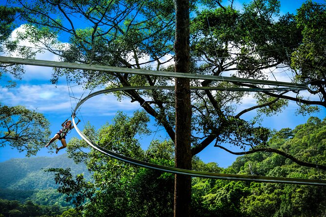 Jungle Flight Zipline Roller Coaster - The jungle roller coaster is more than a zip line