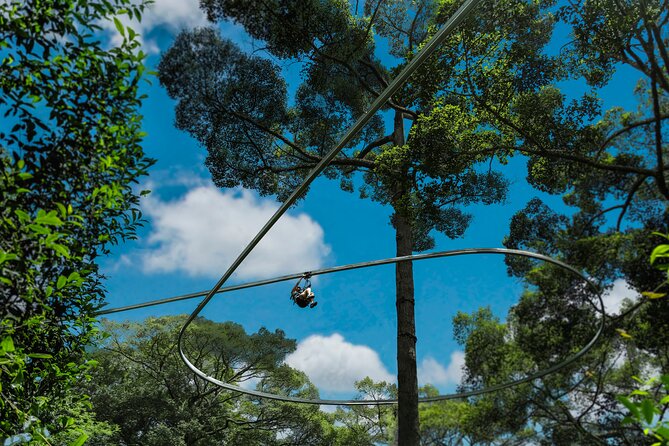 Jungle Flight Zipline Roller Coaster - Should you book Jungle Flight?