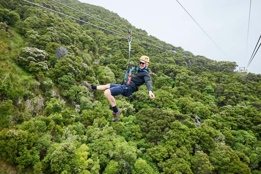 Kaikōura: Zipline and Native Forest Adventure Trip - What the three and a half hours feel like