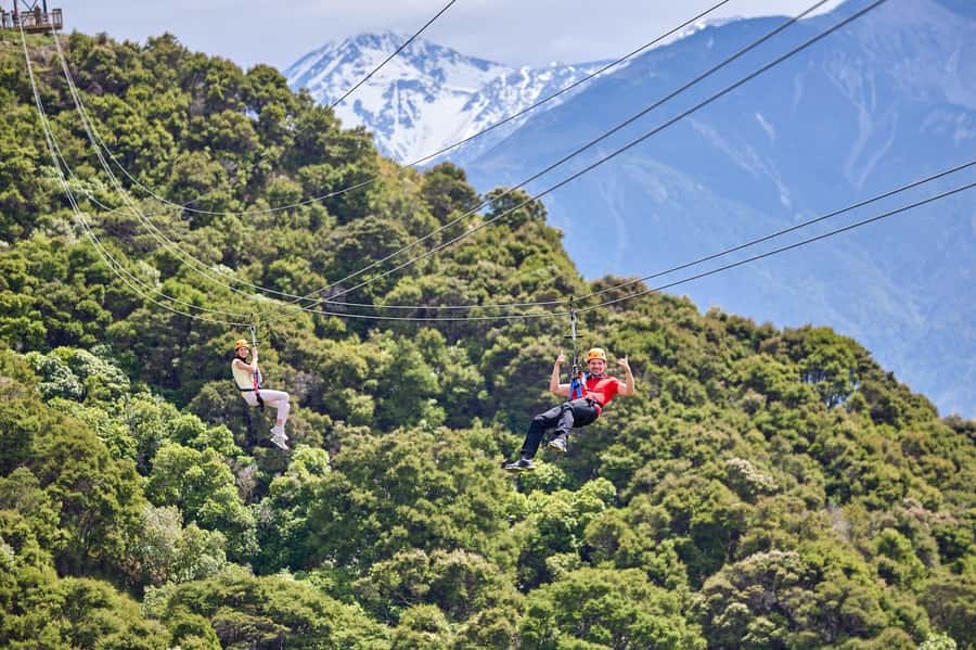 Kaikōura: Zipline and Native Forest Adventure Trip - A short walk through native New Zealand forest
