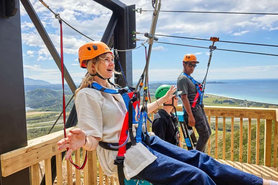 Kaikōura: Zipline and Native Forest Adventure Trip - Five ziplines, from 250 to 620 metres