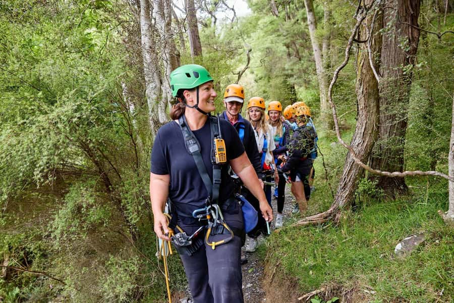 Kaikōura: Zipline and Native Forest Adventure Trip - Safety, effort, and who should book