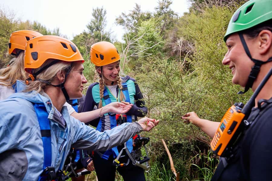 Kaikōura: Zipline and Native Forest Adventure Trip - Conservation with a view