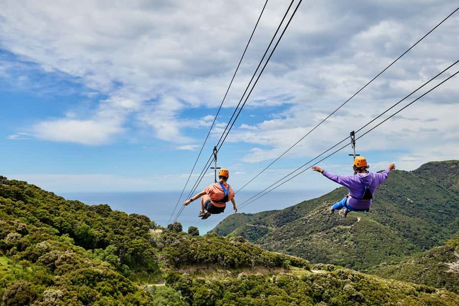 Kaikōura: Zipline and Native Forest Adventure Trip - The 4X4 ride across a working farm