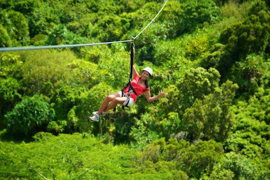 Kauai: Zipline Adventure - Key points to know before you book
