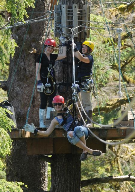 Ketchikan: Rainforest Canopy & Zipline Adventure - Key points to know before you book