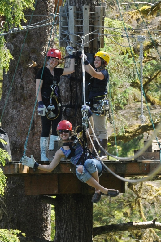Ketchikan: Rainforest Canopy & Zipline Adventure - Eight flights through the Tongass canopy
