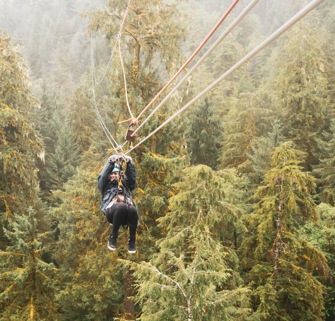 Ketchikan: Rainforest Canopy & Zipline Adventure - Safety training before the first platform
