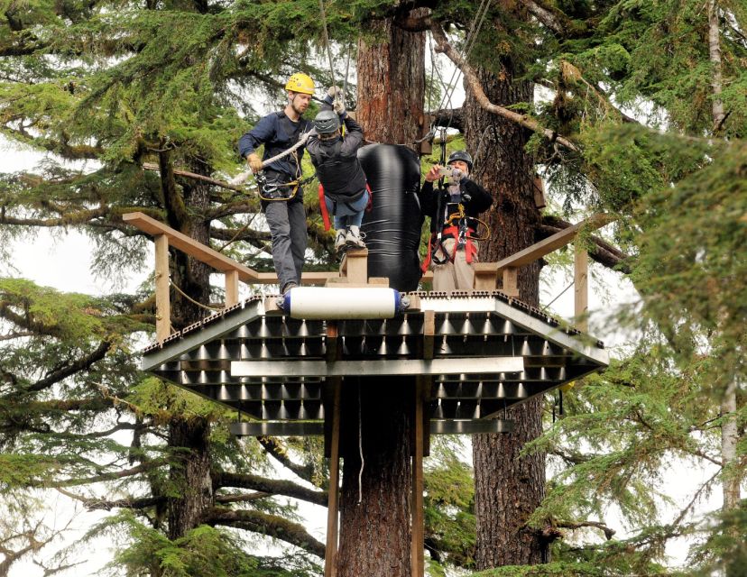 Ketchikan: Rainforest Canopy & Zipline Adventure - What the $225 price buys you