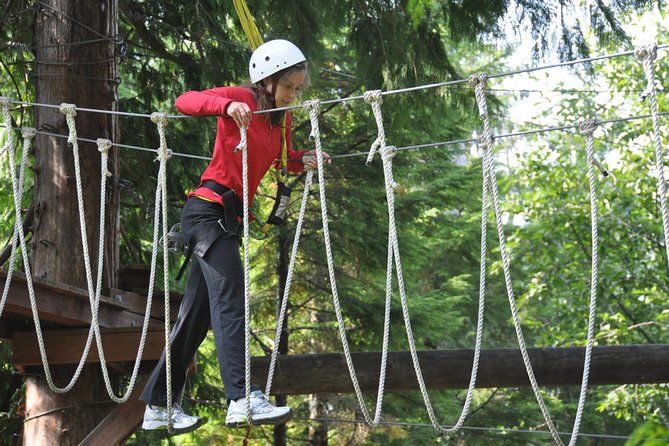 Ketchikan Shore Excursion: Rainforest Canopy Ropes and Zipline Adventure Park - What happens at the ropes and obstacle sections