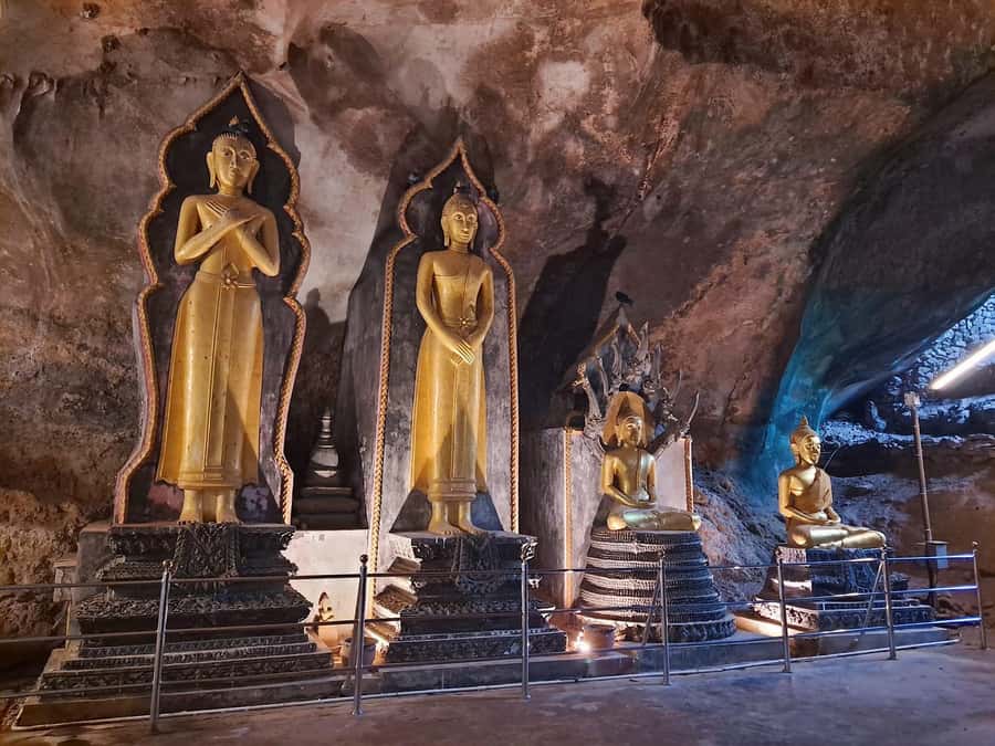 Khao Lak: Rafting, ZipLine, Lunch Buffet ,ATV Options Trip - Elephant bathing and the white buffalo photo