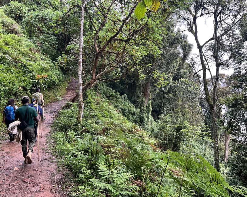 Kigali:1 Day Nyungwe Canopy Walk & Waterfall Tour adventure - Is $445 per person a fair value?