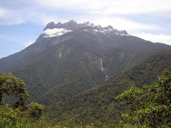 Kinabalu Park & Poring Hot Spring & Canopy Walk - Key things to know before you go
