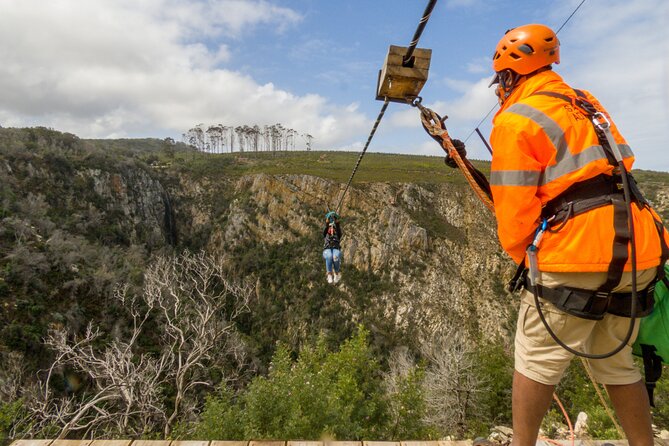 Knysna Ziplines Tour - Price, timing, and the extra park cost