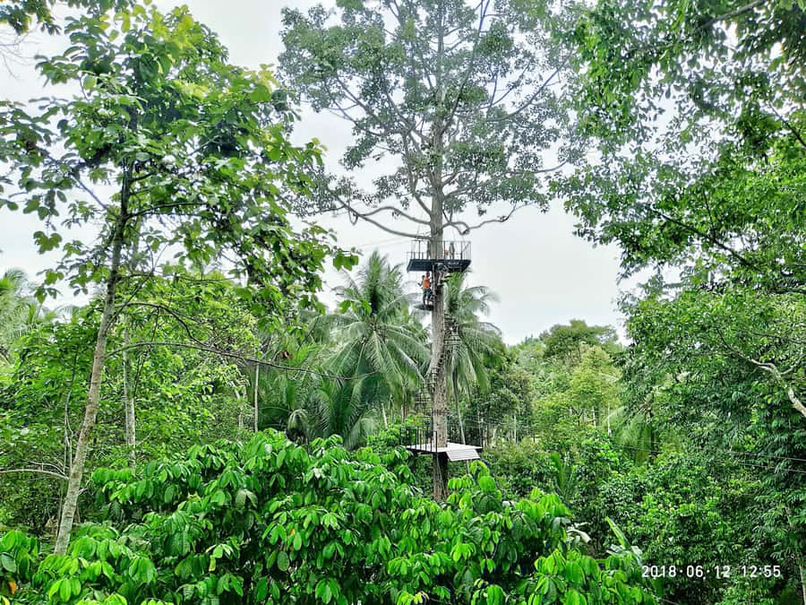 Koh Samui: ATV And Zipline Experience with Transfer - Getting there from your hotel